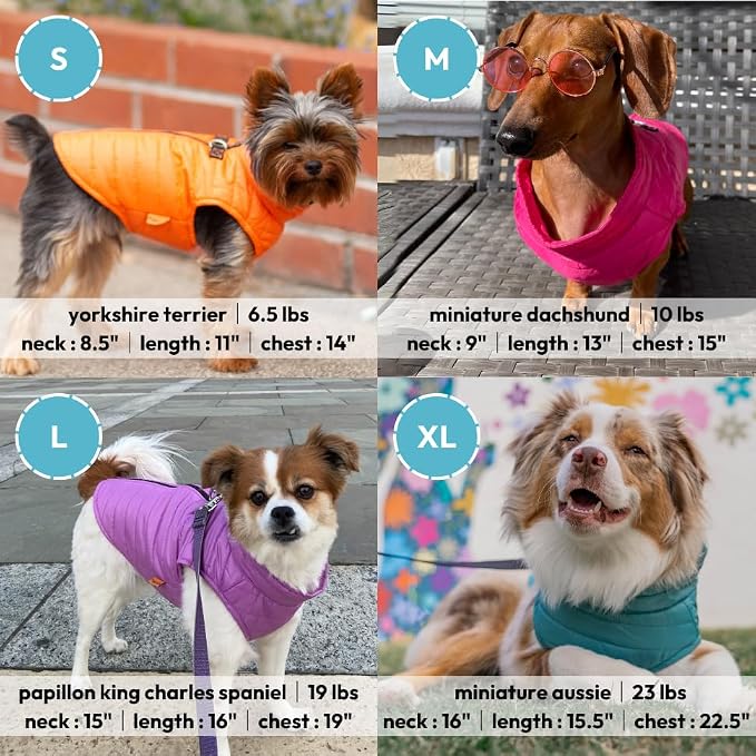 Gooby Puffer Vest - Turquoise, Small - Ultra Thin Zip Up Wind Breaker Leash - Water Resistant Dog Sweater Coat - Boy or Medium Dogs