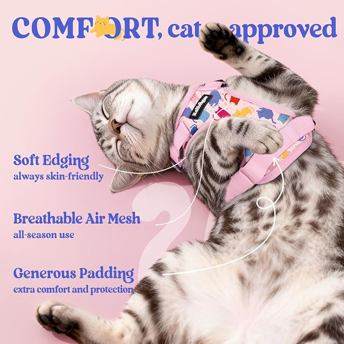 rabbitgoo Cat Harness and Leash Set, Escape Proof Vest, Purrty Pink | Soft Breathable Mesh, Easy Adjustable Fit, Snap Buckles, Sturdy Clip, Reflective Strips, for Average Cats Walks, S