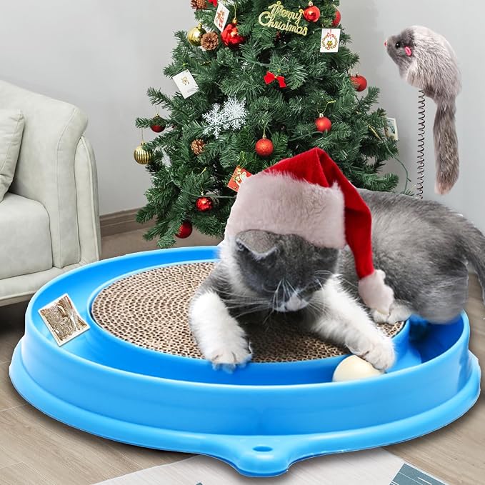 AUOON Cat Scratcher Toy with Ball Track for Indoor Cats and Kittens, Blue | 3 in 1 Interactive Cat Toy, Cat Scratch Pad with Cat Ball Toy and Cat Mouse Toy, for Chasing Exercise, Protect Furniture