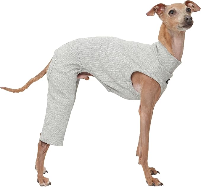 D Doggy Star Italian Greyhound Clothes High-Stretch Sleeveless Onesie for Styling (2XL,Coordi Grey)