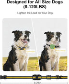 3 Pack Dog Training Collar – Remote Dog Shock Collars with Beep, Vibration and Safe Shock Modes, Rechargeable IP67 Waterproof E-Collars for Small, Medium & Large Dogs with LED Night Light