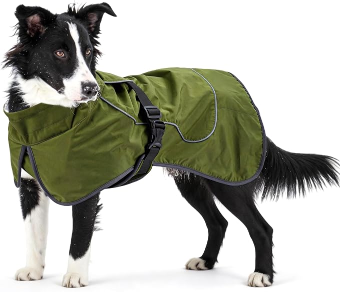Waterproof Large Dog Raincoat, Windproof Rain Jacket with Velvet Lining for Outdoor Windy Weather, Breathable Full-Body Coverage Dry Suit Coat with Reflective Strips for Extra Big Dog (Green, XL)