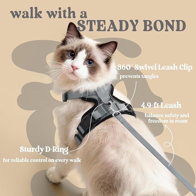 rabbitgoo Cat Harness and Leash Set, Escape Proof Vest, Grey | Soft Breathable Mesh, Easy Adjustable Fit, Snap Buckles, Sturdy Clip, Reflective Strips, for Medium to Large Cats Walks, M