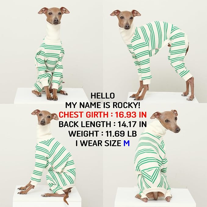 D Doggy Star Italian Greyhound Clothes Soft Stretchy Onesie Refined Stripe Outfit Whippet for Dog Coat (S,Onsi Green Str)