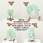 D Doggy Star Italian Greyhound Clothes Soft Stretchy Onesie Refined Stripe Outfit Whippet for Dog Coat (3XL,Onsi Green Str)