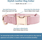Soft Leather Dog Collar and Leash (6.6') Set - Stylish Rose Gold Heavy Duty Metal Buckle, 4 Adjustable Lengths Leash for Small Medium Large Dogs - Comfortable & Easy to Clean Pink S(12.2"-16.9")