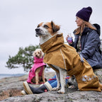 Hurtta Monsoon Coat II ECO, Wet Weather Dog Raincoat Coat, Desert, 10 in