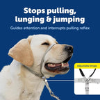 PetSafe Gentle Leader No Pull Dog Headcollar, Black, Large | Veterinary Behaviorist-Designed No-Pull Headcollar Redirects Pulling Instinct, Padded Neoprene Nose Loop, Quick-Snap Fit