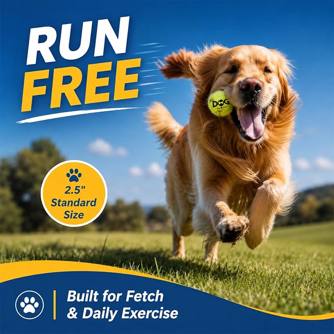 INSUM Squeaky Tennis Balls for Dogs, 12 Pack 2.5'' Medium Dog Toys Balls | Durable Non-Toxic Outdoor Dog Toys Balls with Mesh Bag, SGS Certified, Colorful Fetch Toys, Medium Large Breeds Squeaky