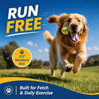 INSUM Squeaky Tennis Balls for Dogs, 12 Pack 2.5'' Medium Dog Toys Balls | Durable Non-Toxic Outdoor Dog Toys Balls with Mesh Bag, SGS Certified, Colorful Fetch Toys, Medium Large Breeds Squeaky