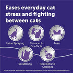 FELIWAY Optimum Cat Calming Pheromone Diffuser Kit | Advanced Support to Help Reduce Urine Spraying, Scratching, Fighting & Hiding Due to Stress. 30-Day Diffuser Supply
