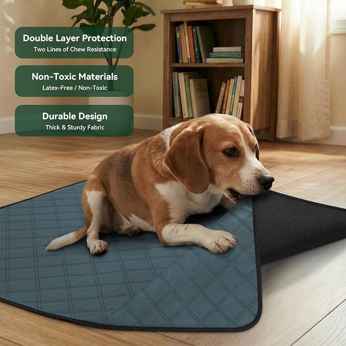 Siedihit Dog Cat Playpen Crate with Washable Pee Pad, Reinforced Durable | Dog Cage, Portable Foldable Pet Kennel with Breathable Visibility (Grey with Pad, Extra Large)