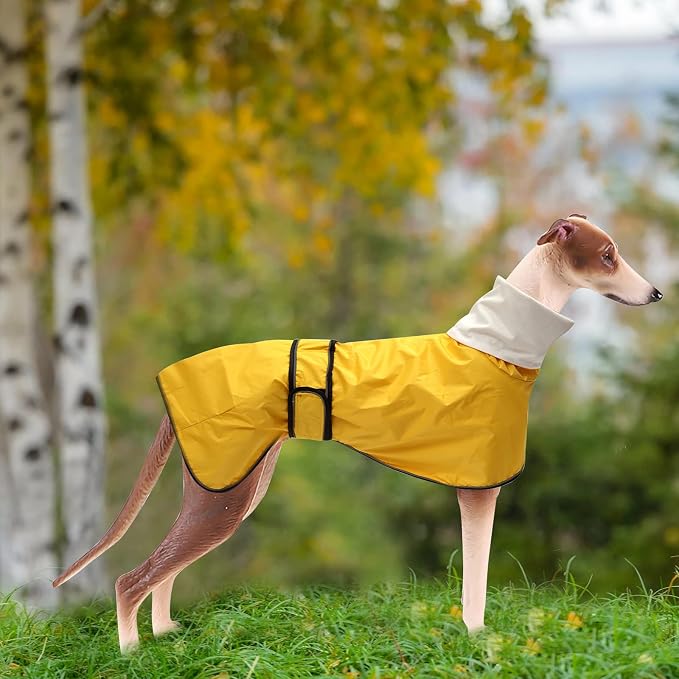 Greyhound Whippet Raincoat Waterproof with Reflective Stripe high Neck fit for Italian Greyhounds Whippets Long Back Breeds - Yellow - XXL