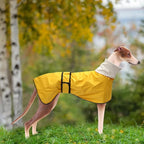 Greyhound Whippet Raincoat Waterproof with Reflective Stripe high Neck fit for Italian Greyhounds Whippets Long Back Breeds - Yellow - XXL