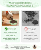 TRUVIC Ceramic Slow Feeder Dog Bowls Small Breed, 0.6 Cup Slow Feeder Cat Bowls for Fast Eaters, Ceramic Dog Food Dish no Black Chin, Puzzle Bowl for Small Dogs and Cats, Green