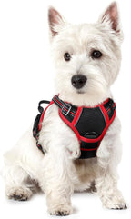 rabbitgoo Dog Harness, No Pull for Small Dogs with 2 Leash Clips, Pet Vest | No Choke with Handle, Adjustable Soft Padded, Reflective, Easy Control for Walking, Black & Red, X-Small
