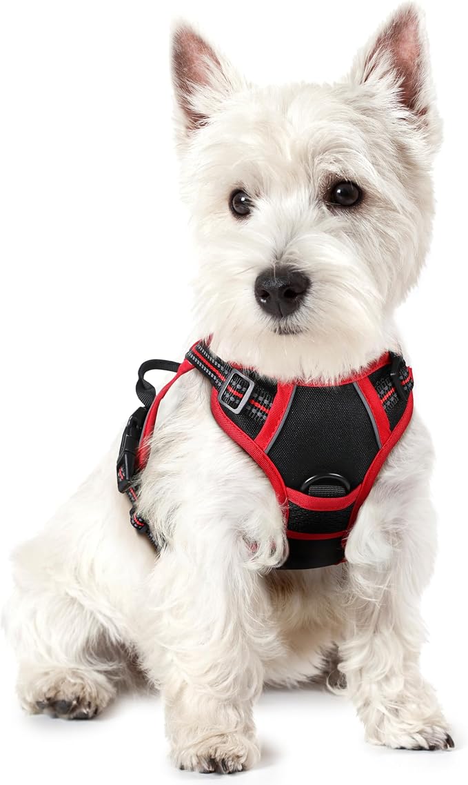 rabbitgoo Dog Harness, No Pull for Small Dogs with 2 Leash Clips, Pet Vest | No Choke with Handle, Adjustable Soft Padded, Reflective, Easy Control for Walking, Black & Red, X-Small