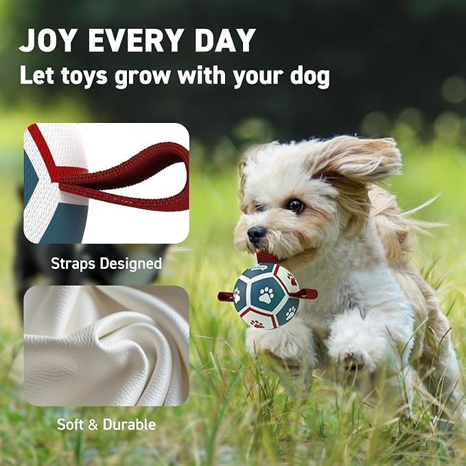 QDAN Small Dog Toys, Puppy Balls, Dog Balls with Straps for Small Breed | 3.5 Inch Small Soccer Ball for Dogs, Puppy Toys for 3-15 lbs Dogs, Dog Birthday Gift, Herding Ball for Small Dogs, Blue Red