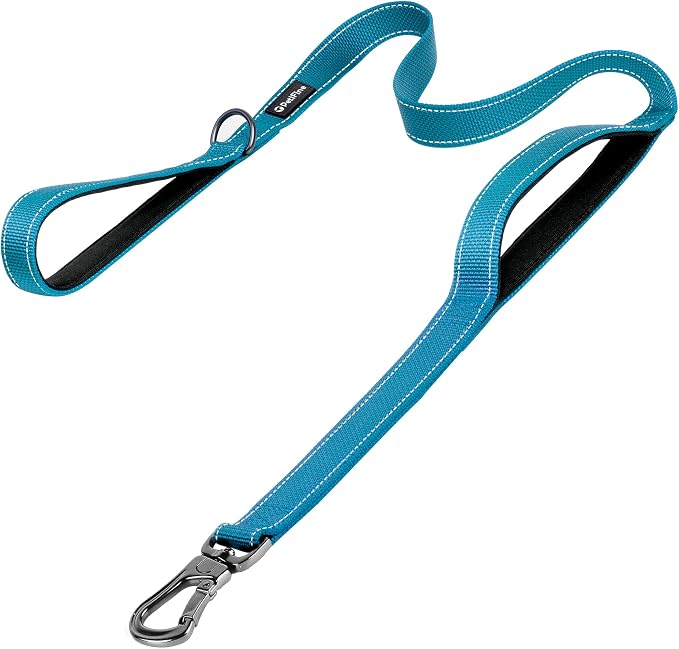 PetiFine 6FT Heavy Duty Dog Leash with Soft Padded Double Handle | Traffic Handle Extra Control,Auto Lock Hook,Reflective Nylon Walking Lead for Large,Medium,Small Breed Dogs
