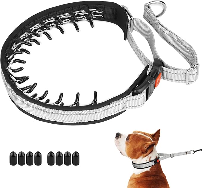 Mayerzon Martingale No Pull Collar for Medium Large Dogs | Grey, M | Patented Anti Pull Dog Collar with Buckle for Walking Training, Reflective Stitching, Neoprene Padding, Adjustable, Sturdy