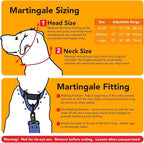 If It Barks - 1.5" Reflective Martingale Collar with Quick Snap Buckle for Dogs - Adjustable - Made in USA - Strong, Durable, and Comfy - Ideal for Training - Fits Most Breeds - Medium, Red