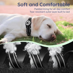 Airtag Dog Collar, Reflective Ultra-Durable Nylon Padded with QR Code Buckle & IP68 Waterproof Air Tag Holder Compatible for Apple AirTag, Comfortable for Small Medium Large Dogs(Black,S)