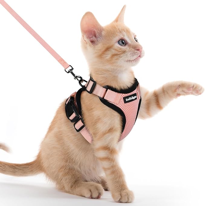 rabbitgoo Cat Harness and Leash Set, Escape Proof Vest, Light Salmon Pink | Soft Breathable Mesh, Easy Adjustable Fit, Snap Buckles, Sturdy Clip, Reflective Strips, for Kittens & Small Cats Walks, Xxs