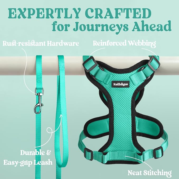 rabbitgoo Cat Harness and Leash Set, Escape Proof Vest, Emerald | Soft Breathable Mesh, Easy Adjustable Fit, Snap Buckles, Sturdy Clip, Reflective Strips, for Medium to Large Cats Walks, M