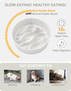 Ceramic Slow Feeder Dog Bowls for Small Dogs, 0.6 Cup Dog Slow Feeder for Fast Eater, Puzzle Maze Bowl, 14oz, 6in, White