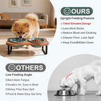 SPUNKYJUNKY Ceramic Elevated Tilted Dog Bowls Bone-Shaped Raised with 2 Height Iron Stand, 5.9'' Dog and Cat Food Water Bowls Set Non-Slip for Small Sized Breed - 13.5 OZ,Dark Green