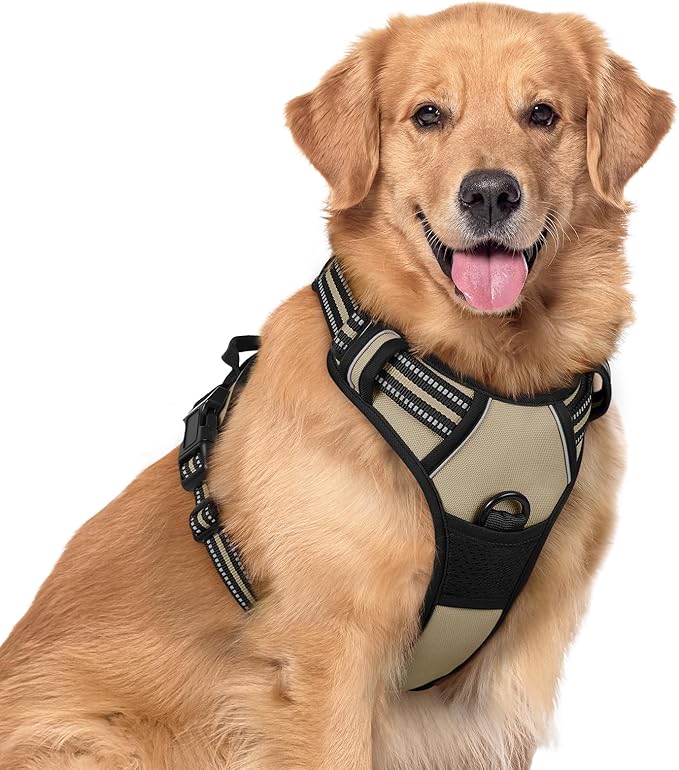 rabbitgoo Dog Harness No Pull with 2 Leash Clips, Adjustable Soft Padded, Reflective Oxford No Choke Pet Vest with Easy Control Handle for Large Dogs, Beige, XL | No Choke with Handle, Adjustable Soft Padded, Reflective, Easy Control for Walking, Beige...