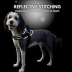 ShawnCo Essential Dog Harness, No-Pull Pet Vest with 3 Leash Clips, No Choke, Reflective, Adjustable and Padded, for Easy Walking and Training for Small, Medium and Large Dogs (ICY Lilac, XS)