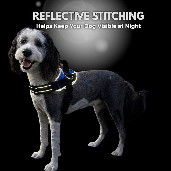 ShawnCo Essential Dog Harness, No-Pull Pet Vest with 3 Leash Clips, No Choke, Reflective, Adjustable and Padded, for Easy Walking and Training for Small, Medium and Large Dogs (Driftwood, L)