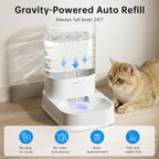 PAWGETHER® Automatic Cat Water Dispenser with 1 Filter Gravity Water Bowl for Dogs, 1 Gallon/3.5L Dog Water Bowl Dispenser, Cat Waterer, Easy to Fill