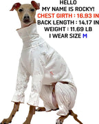 D Doggy Star Italian Greyhound Pajama Onesie Indoor Clothes Whippet for Dog Coat (M,Pajama Onesie)