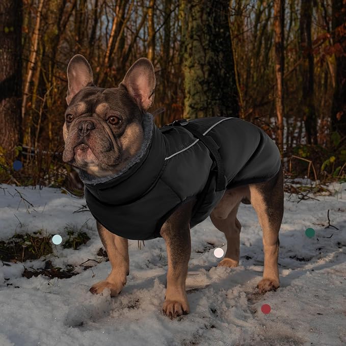 IECOii Extra Warm Dog Coat - Reflective, Adjustable Winter Jacket with Buckle & Turtleneck for Small to Extra Large Dogs