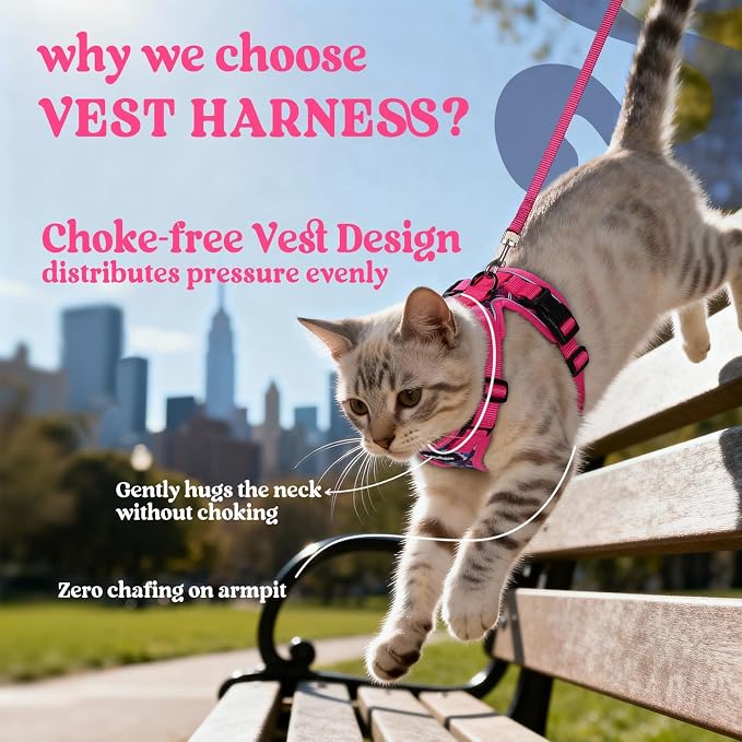 rabbitgoo Cat Harness and Leash Set, Escape Proof Vest, Coconut Fuchsia | Soft Breathable Mesh, Easy Adjustable Fit, Snap Buckles, Sturdy Clip, Reflective Strips, for Medium to Large Cats Walks, M