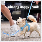 rabbitgoo Dog Harness Small Sized and Leash Set, Step-in Puppy Pet Vest | Light, Soft, Breathable Air Mesh, Easy on and Remove with Hook & Loop, Secure Reflective for Walking, Blue XXS