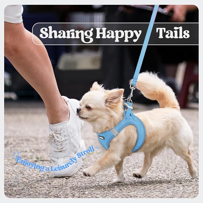 rabbitgoo Dog Harness Small Sized and Leash Set, Step-in Puppy Pet Vest | Light, Soft, Breathable Air Mesh, Easy on and Remove with Hook & Loop, Secure Reflective for Walking, Blue XS
