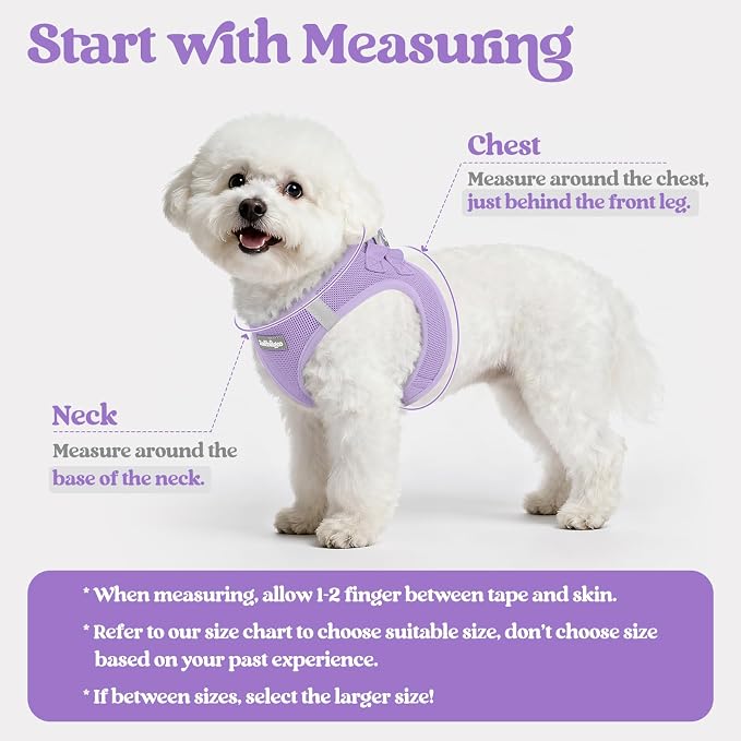 rabbitgoo Dog Harness Small Sized and Leash Set, Step-in Puppy Pet Vest | Light, Soft, Breathable Air Mesh, Easy on and Remove with Hook & Loop, Secure Reflective for Walking, Light Purple XXXS