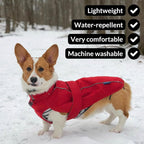 DJANGO Dog Jacket & Raincoat – Lightweight Water-Resistant Coat for Small, Medium & Long Dogs Like Dachshunds – Reflective, Adjustable Fit, Harness-Compatible & Easy-Access Harness Hole - Green Medium