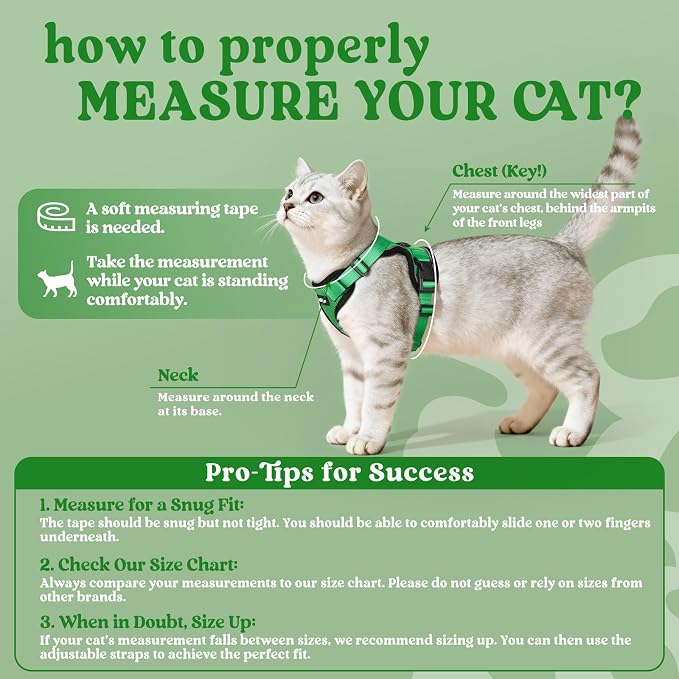 rabbitgoo Cat Harness and Leash Set, Escape Proof Vest, Grass Green | Soft Breathable Mesh, Easy Adjustable Fit, Snap Buckles, Sturdy Clip, Reflective Strips, for Medium to Large Cats Walks, M