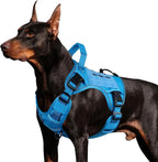 WINGOIN Blue Tactical Dog Harness for Large Dogs, Heavy Duty No Pull Dog Harness with Handle, Adjustable Reflective Military K9 German Shepherd Big Size Dog Vest for Walking, Training, Hunting (L) | with Handle,Adjustable Reflective,Military K9 Style,B...