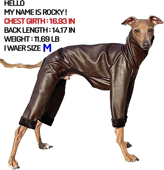 D Doggy Star Italian Greyhound Coat Stretchable Artificial Leather Fleece Lining Clothes Whippet for Dog (M,Leather Brown)
