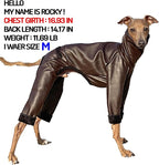 D Doggy Star Italian Greyhound Coat Stretchable Artificial Leather Fleece Lining Clothes Whippet for Dog (L,Leather Brown)