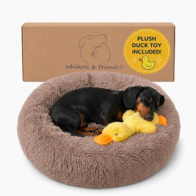 Whiskers & Friends Pet Beds for Small Dogs, Fluffy Orthopedic, Washable | Puppy Calming Beds, Small Dog Bed for Crate, Round Plush Donut Bed for Pets Under 25 Pounds