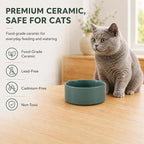 Havniva Cat Bowls Set of Two, 5.1” Ceramic Cat Food and Water Bowls | Cat Food Bowls Whisker Friendly, Non-Slip Base, Food-Grade Ceramic, Wide Opening, Dishwasher Safe, Cat Bowls for Indoor Cats