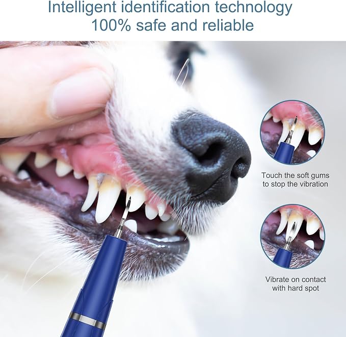 Upgraded Plaque Remover for Teeth, Electric Pet Teeth Cleaning Kit, USB Charging Dog Tooth Brushing Kit, 5 Modes, IPX6 Waterproof Pet Ultrasonic Toothbrush Cleaner for Dogs Cats (Blue)
