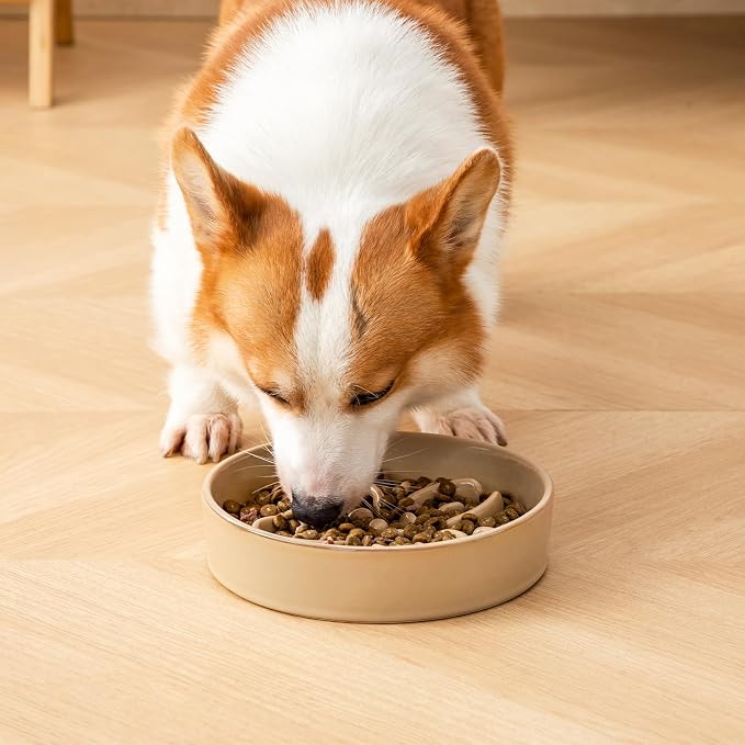 vancasso Ceramic Slow Feeder Dog Bowls, Puzzle Dog Food Bowls with Floral Maze, Anti -Slip Pet Food Dish for Medium Breed, 1.5 Cups, Brown