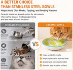 Ceramic Cat Food Bowls, 6 Pack 5.7-in Non-Slip Cat Dishes for Food, Water | Food-Safe Ceramic, Shallow Whisker-Friendly Plates For Wet Meals, Kibble, Multi-Cat Homes, Dishwasher And Microwave Safe